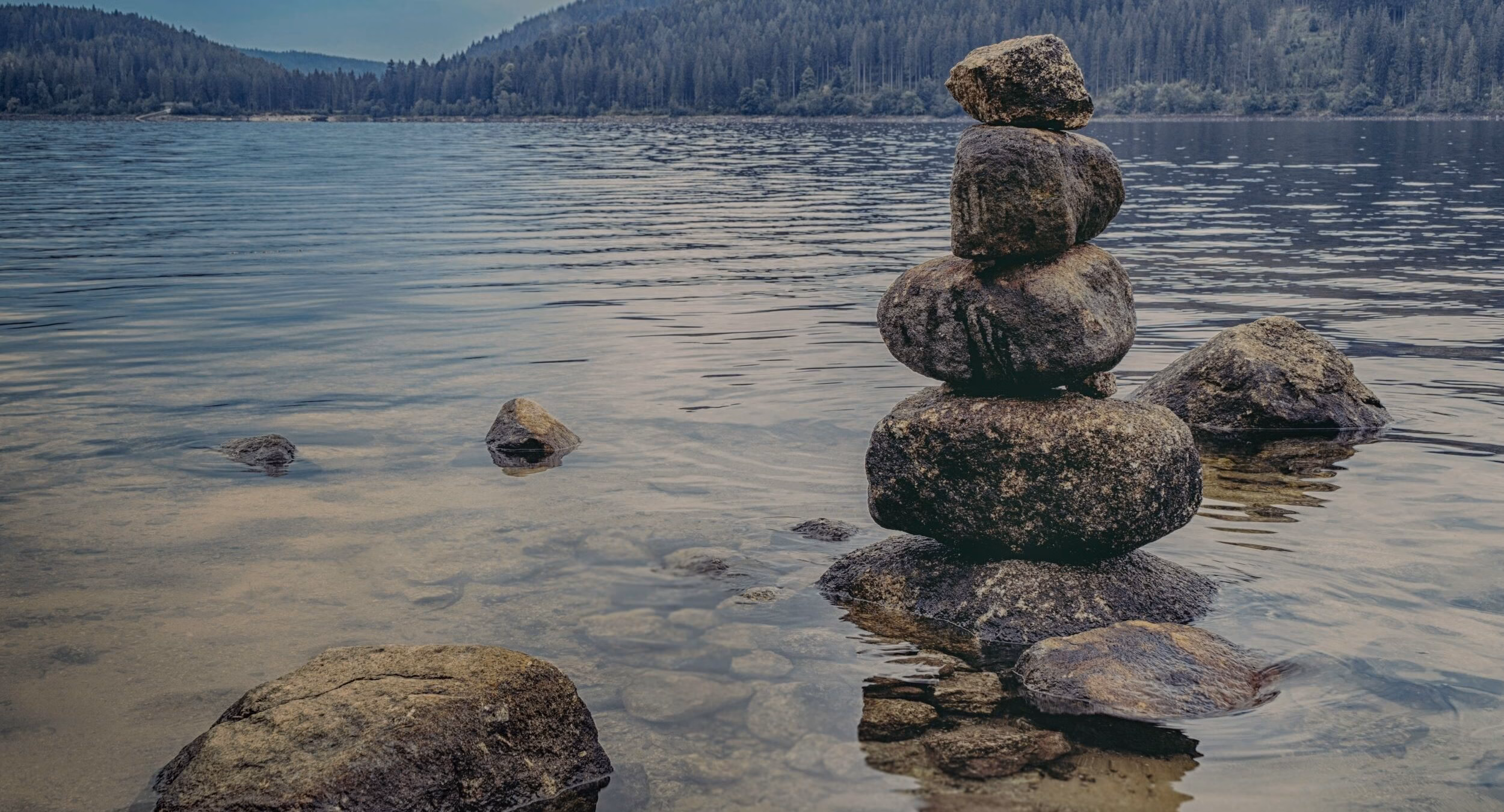 Cos’è la Mindfulness?