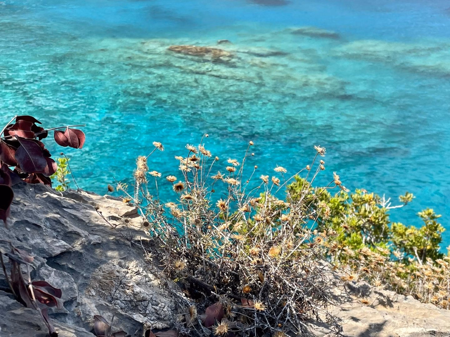 Ilaria Zinzani Yoga Retreats - Creta Chora Sfakion