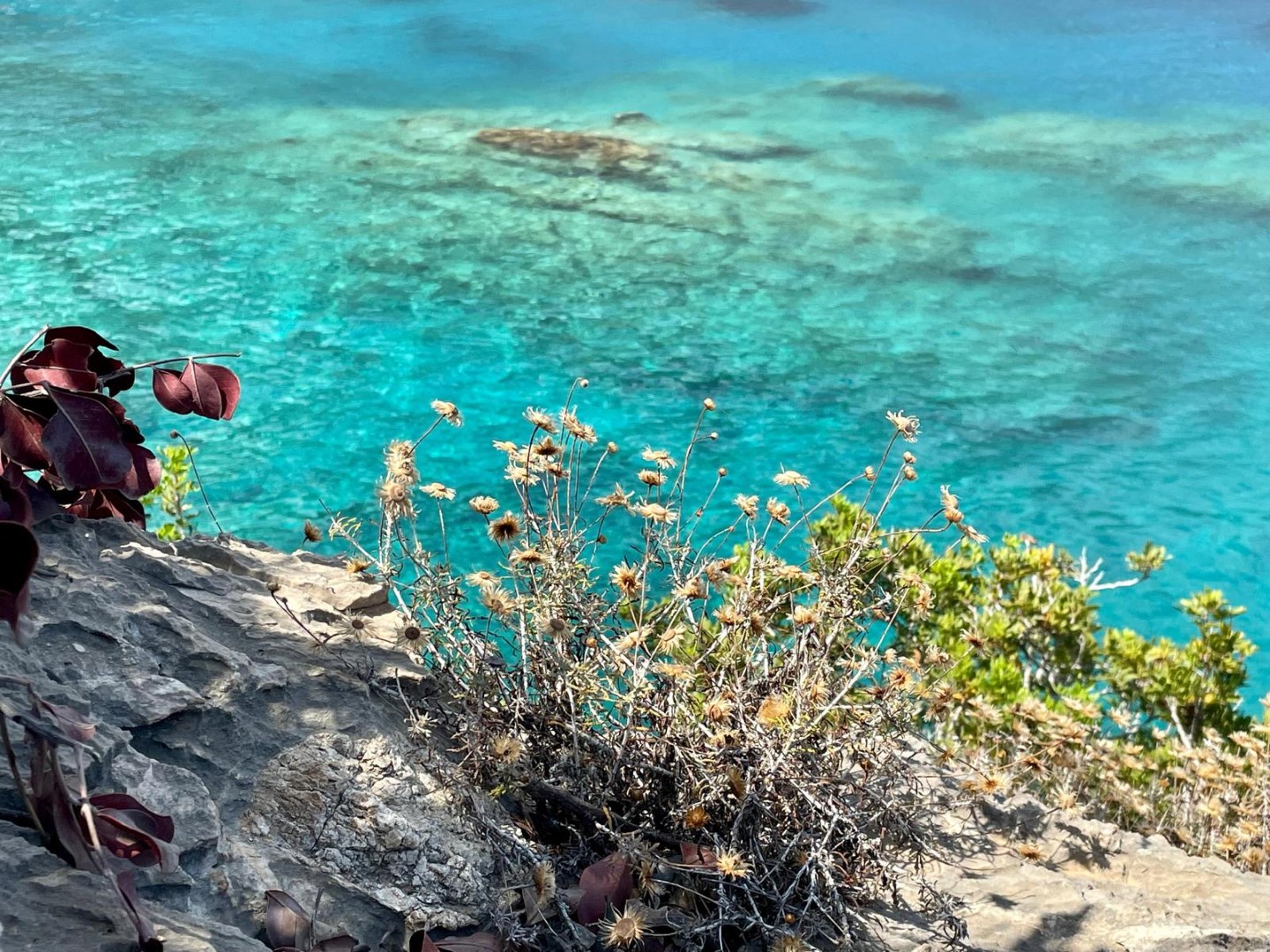 Ilaria Zinzani Yoga Retreats - Creta Chora Sfakion