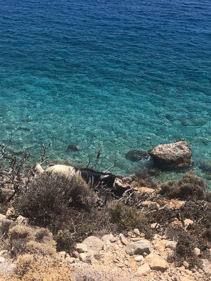 Ilaria Zinzani Yoga Retreats - Creta Chora Sfakion