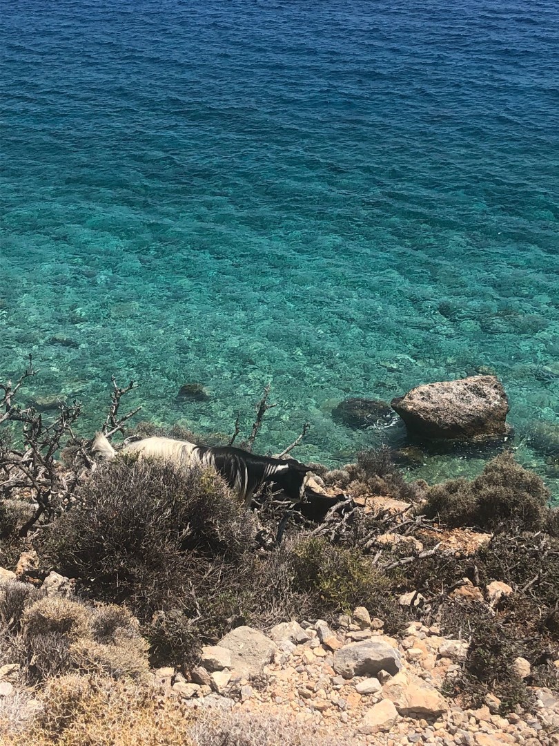 Ilaria Zinzani Yoga Retreats - Creta Chora Sfakion