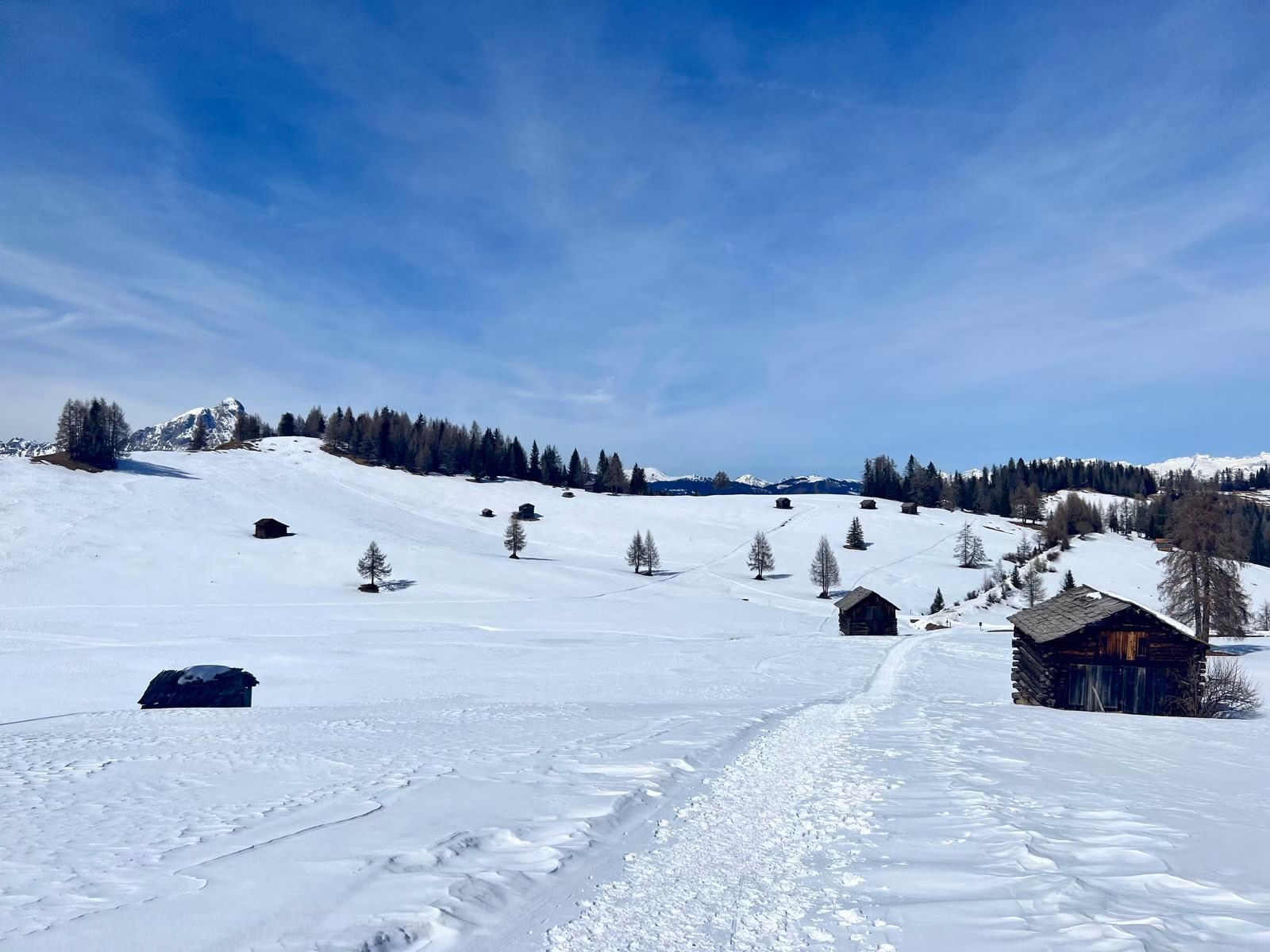 Alta Badia Ilaria Zinzani Yoga e Retreats