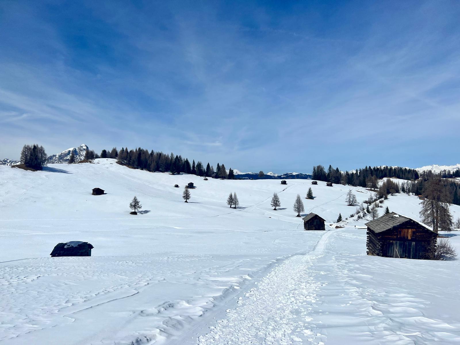 Alta Badia Ilaria Zinzani Yoga e Retreats