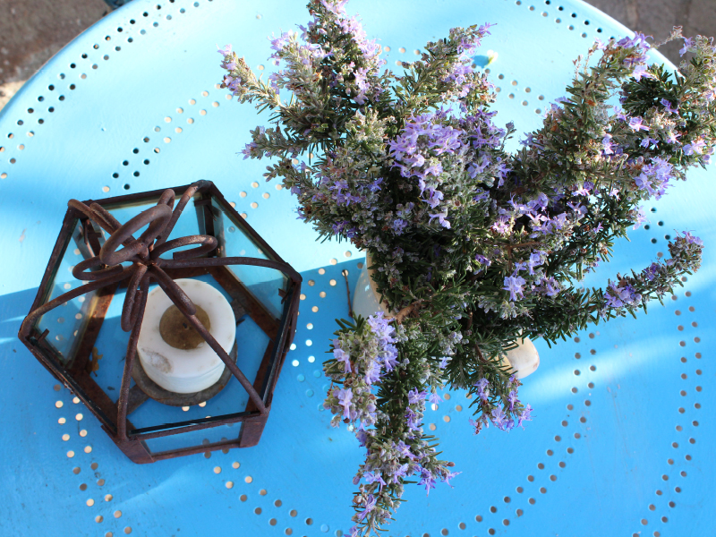 ilariazinzani-yoga-agriturismo-toscana