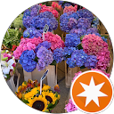 mary profile picture